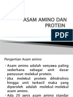 Asam Amino Dan Protein