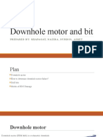 Downhole Motor and Bit