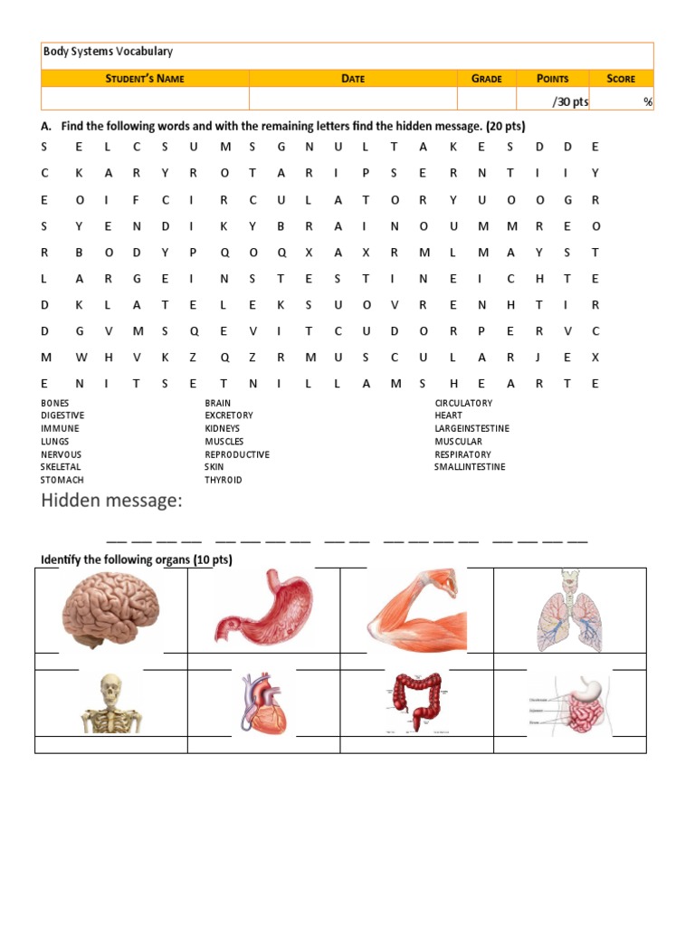 Body Systems Vocabulary Wordsearches 101009 PDF