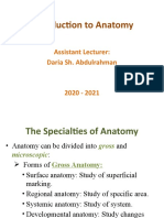 Introduction To Anatomy: Assistant Lecturer: Daria Sh. Abdulrahman