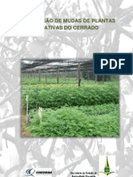 Cartilha Produção de Mudas parceria SEAPA-DF - CCSA.