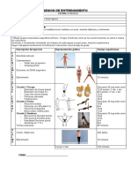 Sesion de Entrenamiento
