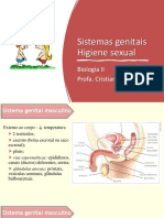 1703805-Sistemas Genitais 2022.1 Higiene Sexual