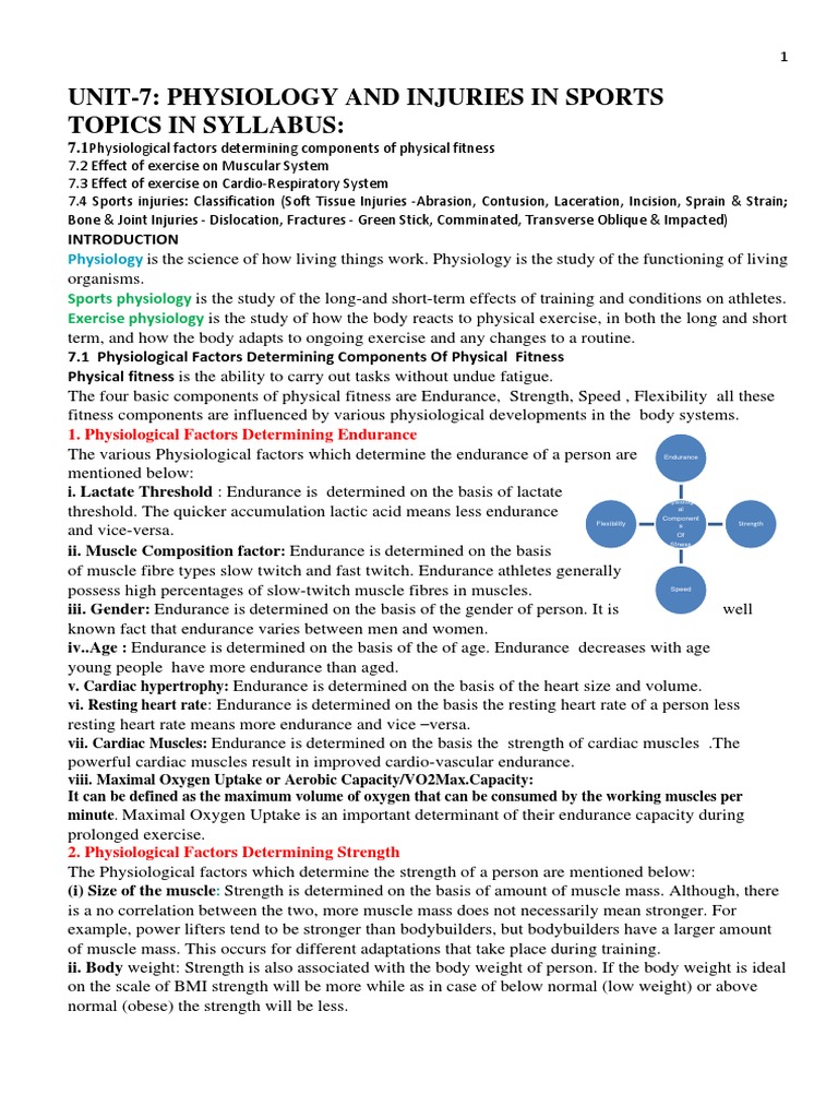 Sports Physiology and Injury Insights | PDF | Skeletal Muscle | Breathing