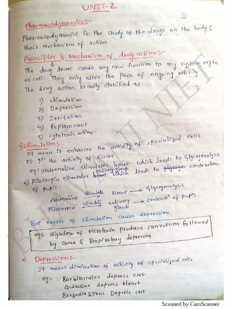 Unit 2 | PDF