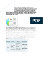 Funcionamiento de La Organización