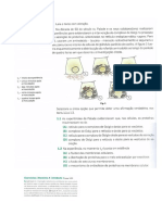 Sistema Endomembranar (Exercícios)