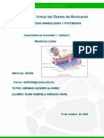 Mapa Conceptual. Membrana Celular