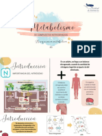 Metabolismo de Compuestos Nitrogenados