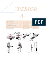 Treino PPL para hipertrofia muscular