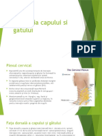 Inervatia Capului Si Gatului