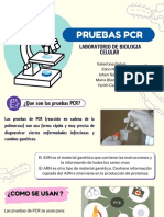 Blue Purple Hand-Drawn Laboratory Practice Presentation