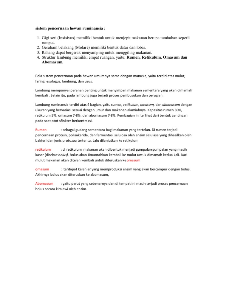 1000+ Gambar Struktur Lambung Hewan Ruminansia Terbaik