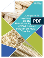 Guía-BPA Maíz Choclo PDF