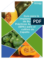 Guía BPA Zapallo PDF