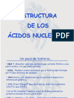Ácidos Nucleicos I