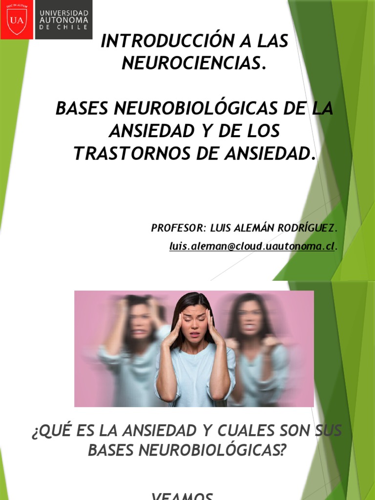 Bases Neurobiológicas de la Ansiedad | PDF | Trastorno de ansiedad ...