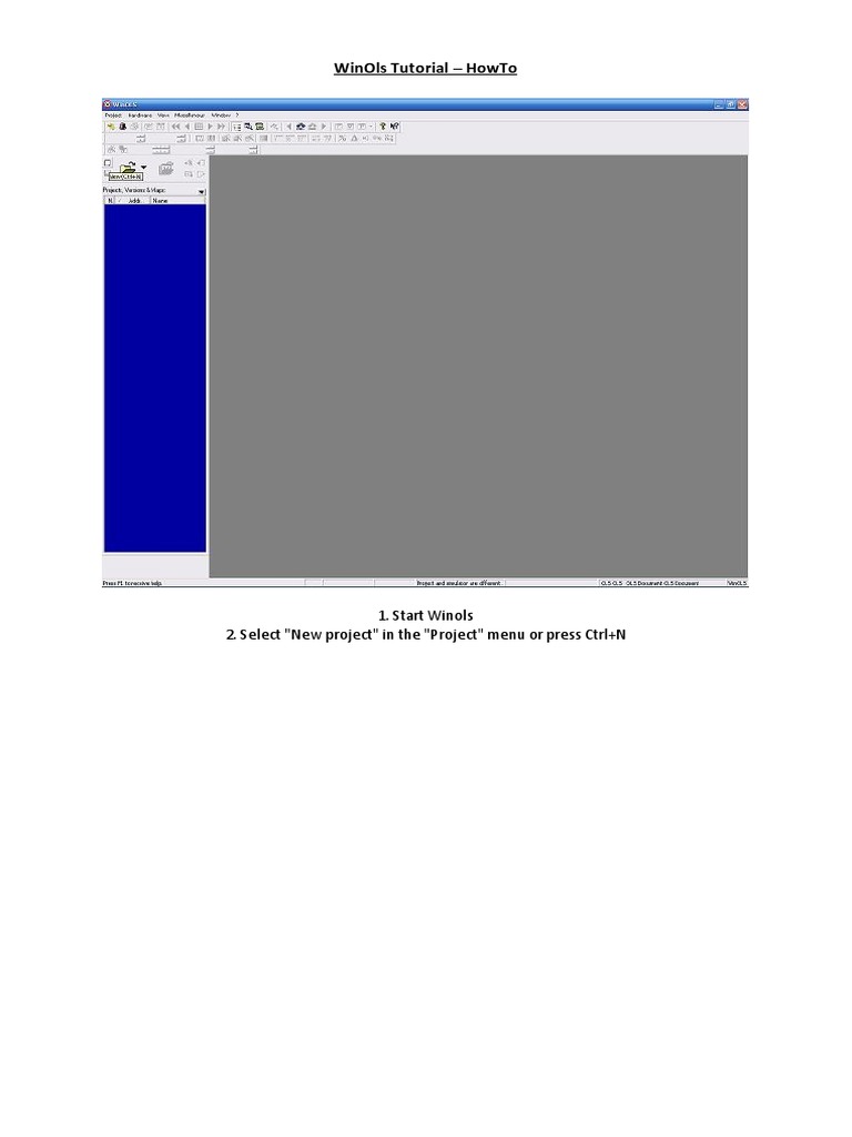 Winols Tutorial | PDF