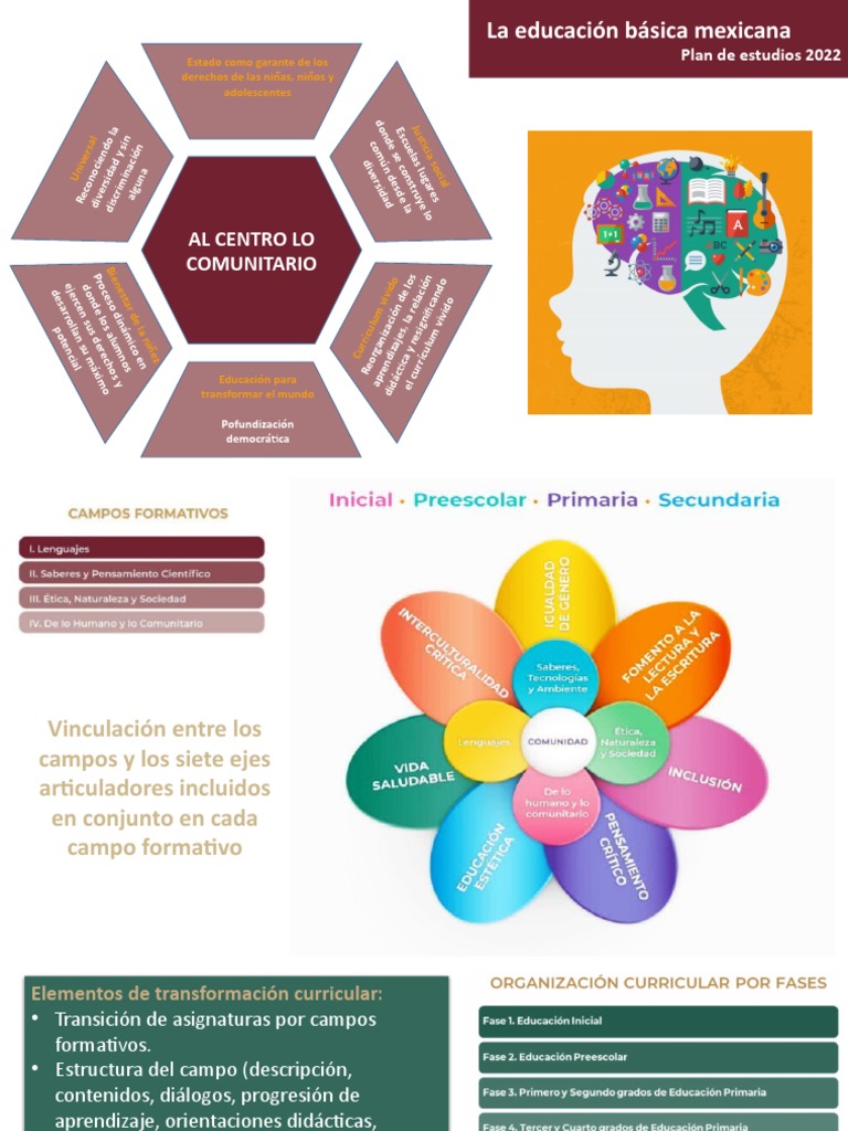 Estructura Curricular Plan 2022 NEM | PDF | Plan de estudios | Cognición