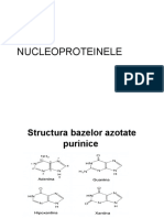 Nu Cleo Proteine