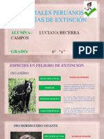 Animales Extinción