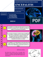 Encefalitis Grupo 03
