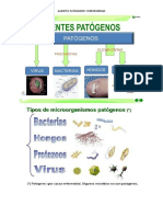 Agentes Patogenos y Enfermedad