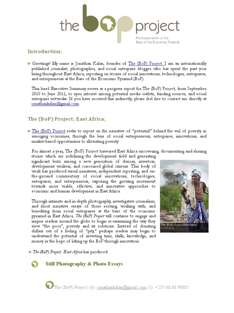 Progress Report on The (BoP) Project | PDF | Social Enterprise | Social ...