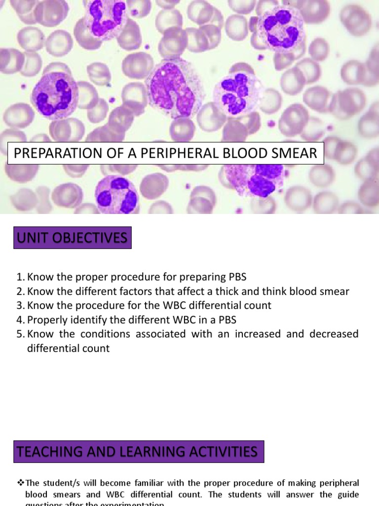 Hem311 Week 14&15 Lab Peripheral Blood Smear and Differential Count PDF White Blood Cell