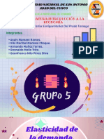 Grupo 5-Elasticidad de La Demanda, Oferta y Punto de Quilibrio en El Mercado