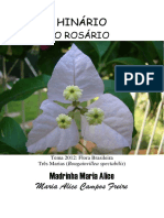 Madrinha Maria Alice O Rosario Tablet 1 1