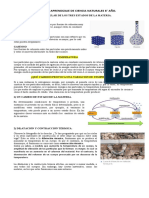 Guia de Aprendizaje de Ciencia Naturales 8