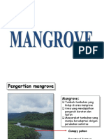 LBGT Mangrove