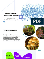 Morfologi & Anatomi Fungi