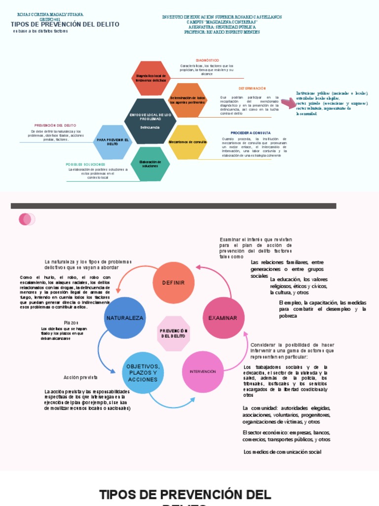 Prevención del Delito: Tipos y Estrategias | PDF | Policía | Derecho penal
