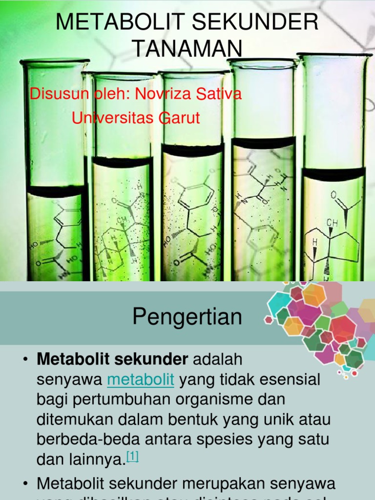 Fungsi dan Pembentukan Metabolit Sekunder | PDF | Sains & Matematika