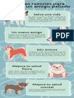 Adopta Perros