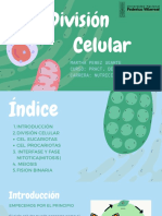 Division Celular - Pract. Biología