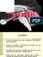 Cerebelo 2020-2