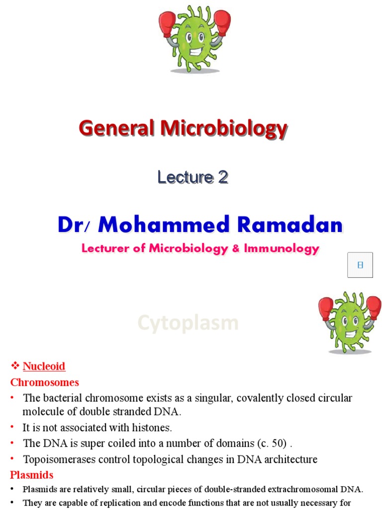 General Microbiology - Lecture 2 | PDF | Bacteria | Biotechnology