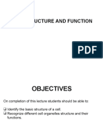 L 2 Cell Structure and Function