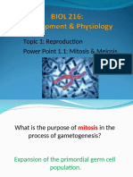 Biol 216 2020 Topic 1 Reproduction - PowerPoint 1.1 Mitosis Meiosis BK - Tagged