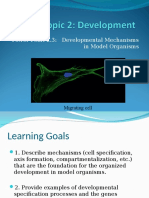 Biol 216 2020 Topic 2 Development - Powerpoint 2.3 Developmental Mechanisms - Tagged