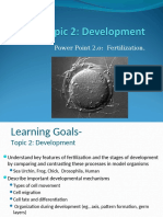 Biol 216 2020 Topic 2 Development - Powerpoint 2.0 Fertilization - Tagged