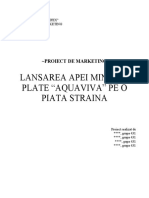 Lansarea Unui Produs Nou Pe o Piata Straina