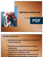 Sistema Muscular