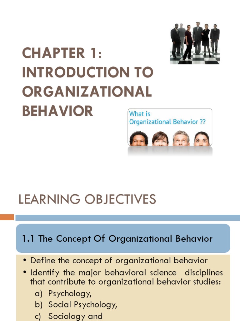 Chapter 1 Organizational Behaviour Download Free Pdf Organizational