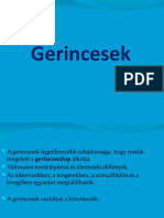 A Gerincesek Kültakarója