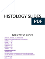 Histo Slides Labelled