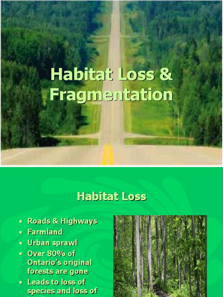 1.9 Habitat Loss PDF